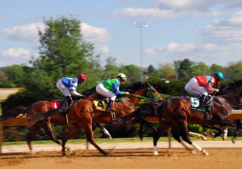 Guide to Bookie Bonuses - Great Bridge Links
