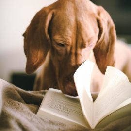 Bridge Books 2018 - Great Bridge Links
