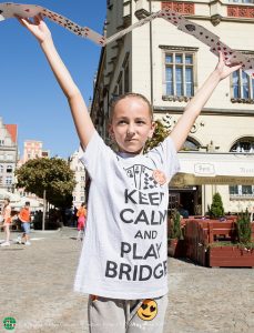 Keep Calm and Play Bridge