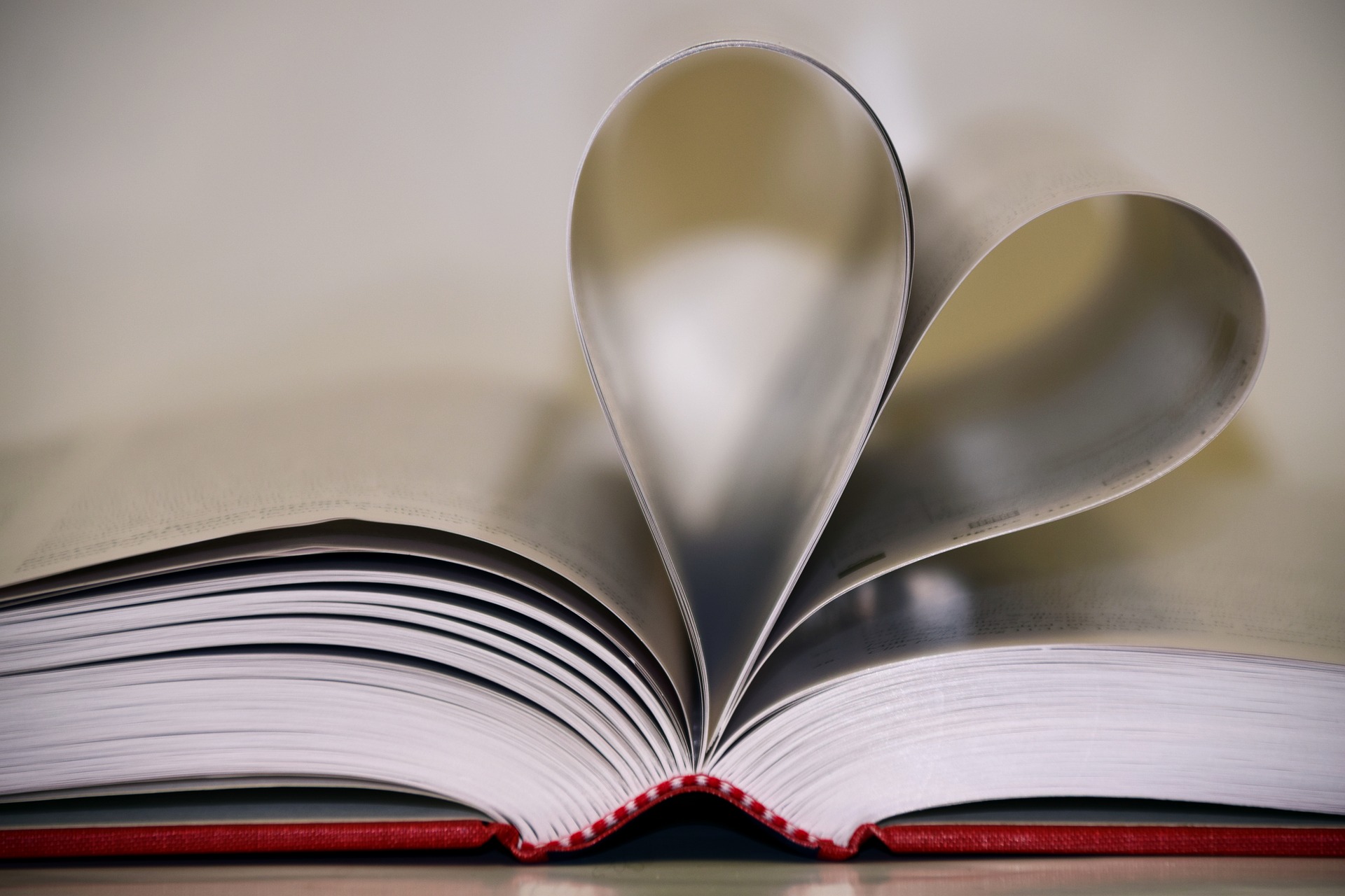 Best Bridge Books 2017