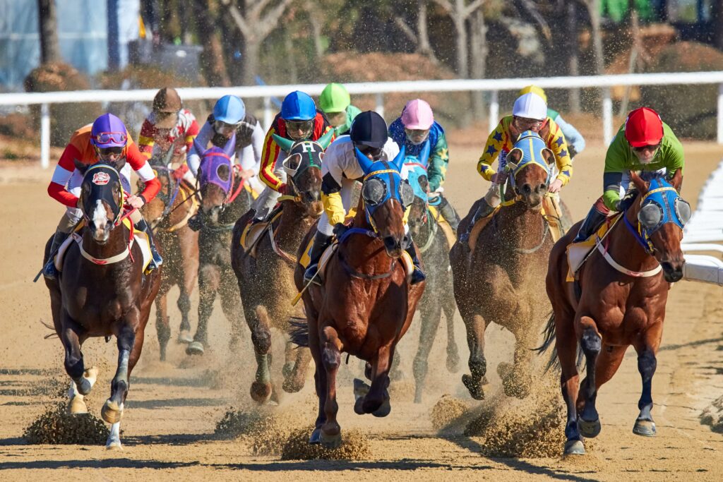 What You Need to Know Before Placing Your Bet at the Races
