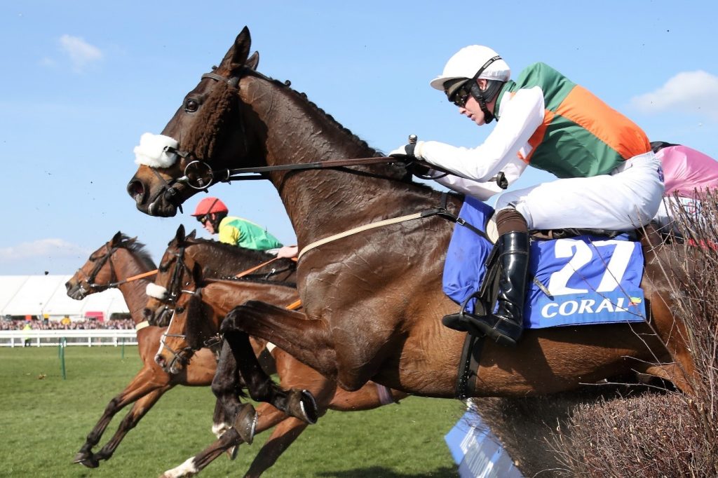 Two horses to keep an eye on in the Marsh Chase