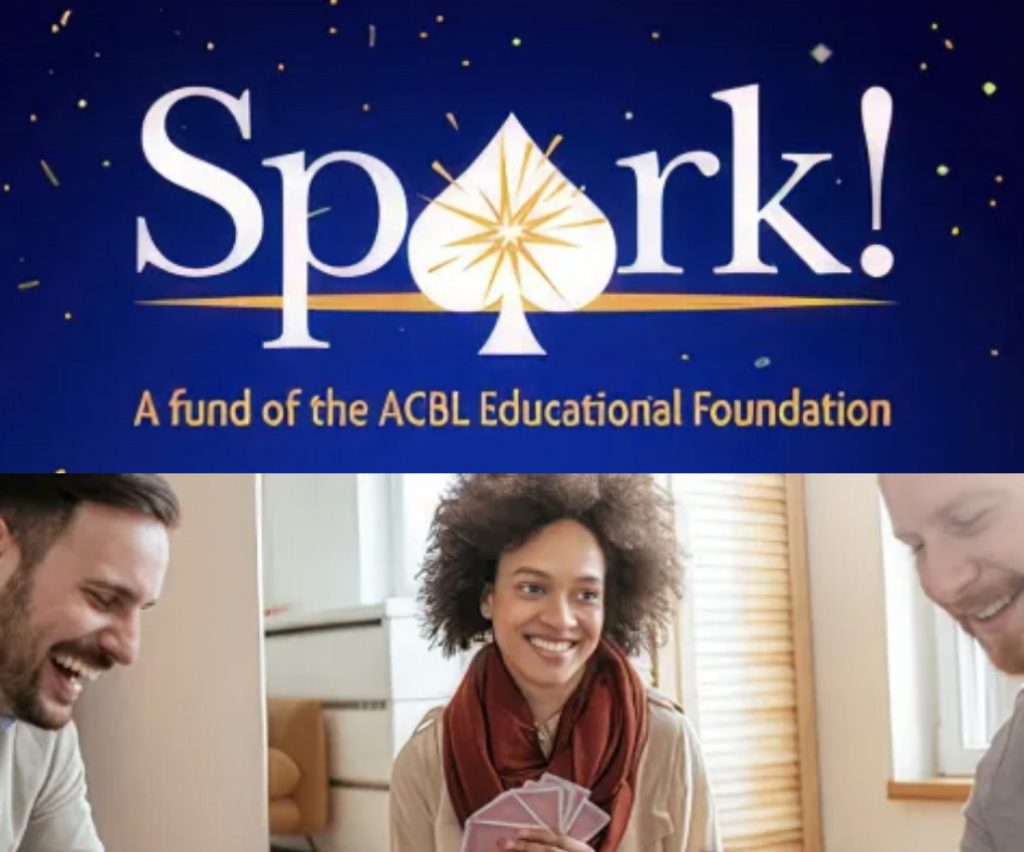 2025 Spark Fundraiser Auction