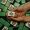 Mahjong and Sweepstakes Wins