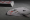 Online Casino Loyalty Models